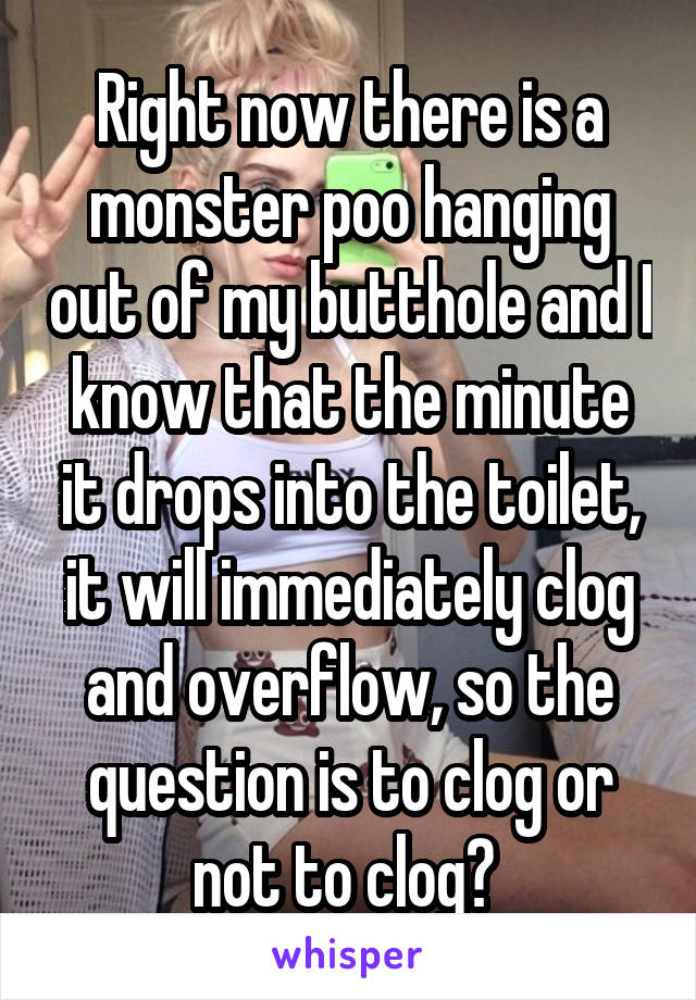 Right now there is a monster poo hanging out of my butthole and I know that the minute it drops into the toilet, it will immediately clog and overflow, so the question is to clog or not to clog? 