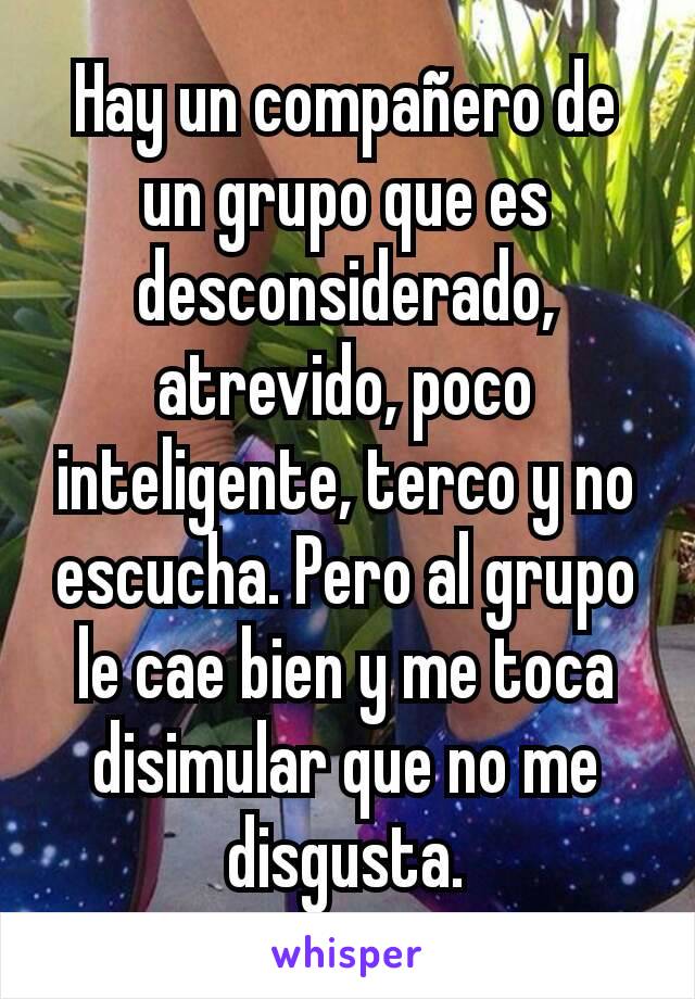 Hay un compañero de un grupo que es desconsiderado, atrevido, poco inteligente, terco y no escucha. Pero al grupo le cae bien y me toca disimular que no me disgusta.