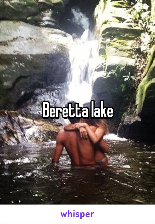 Beretta lake