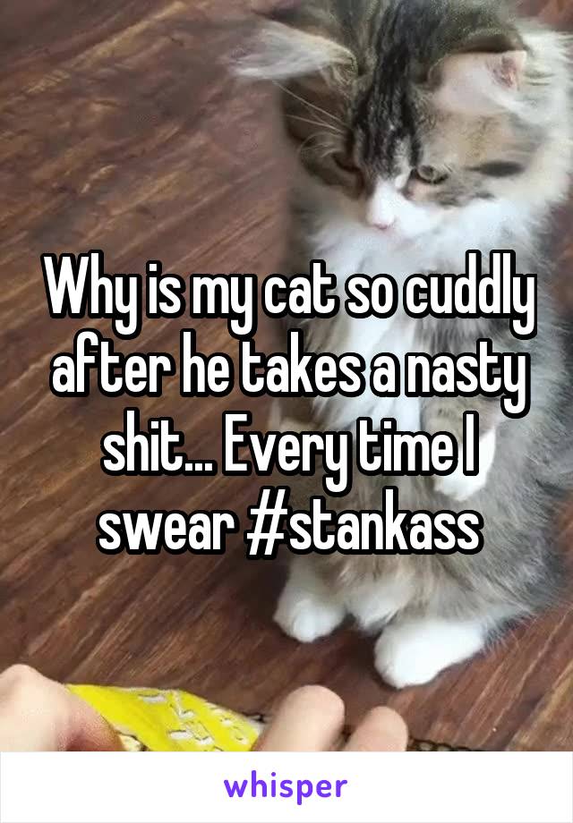 Why is my cat so cuddly after he takes a nasty shit... Every time I swear #stankass