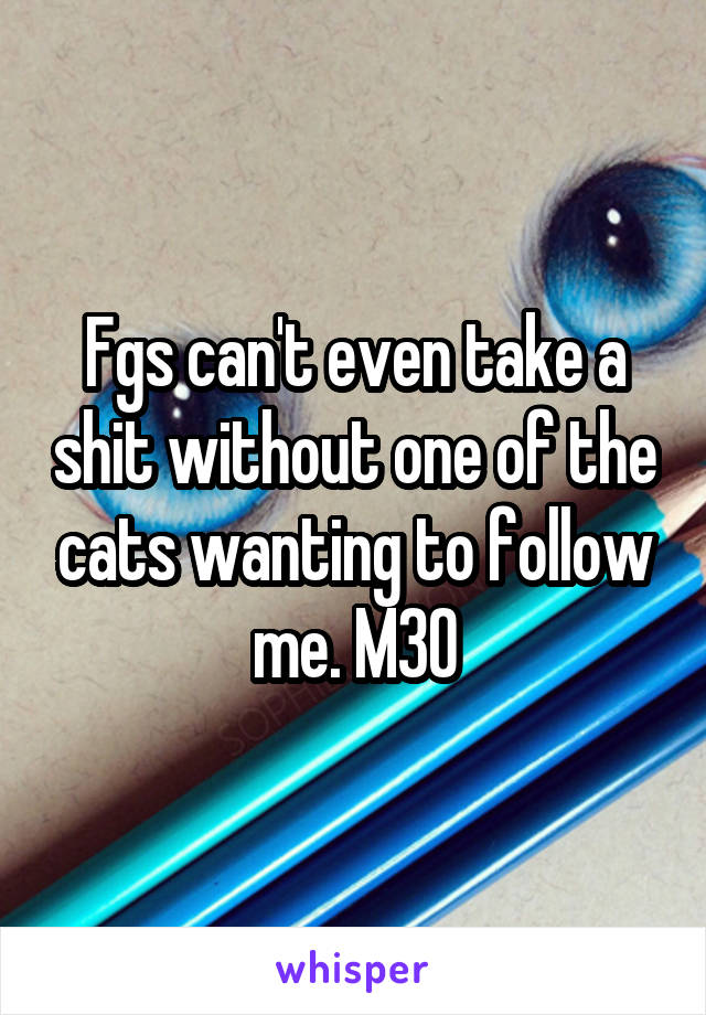 Fgs can't even take a shit without one of the cats wanting to follow me. M30