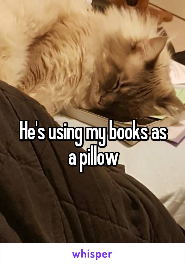 
He's using my books as a pillow