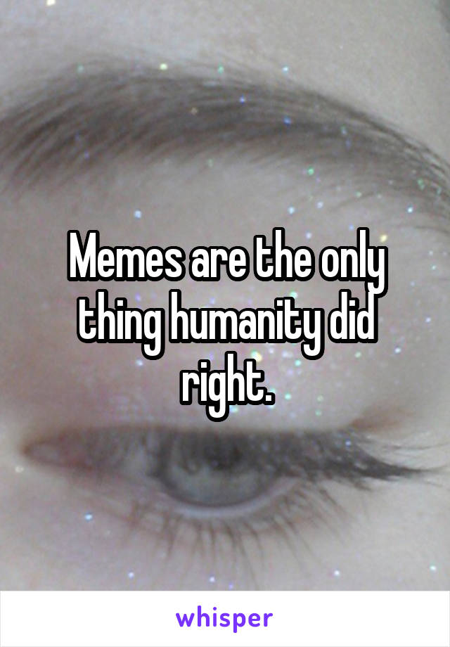 Memes are the only thing humanity did right.