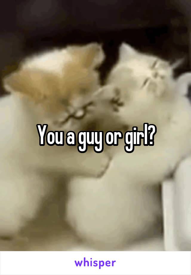 You a guy or girl?