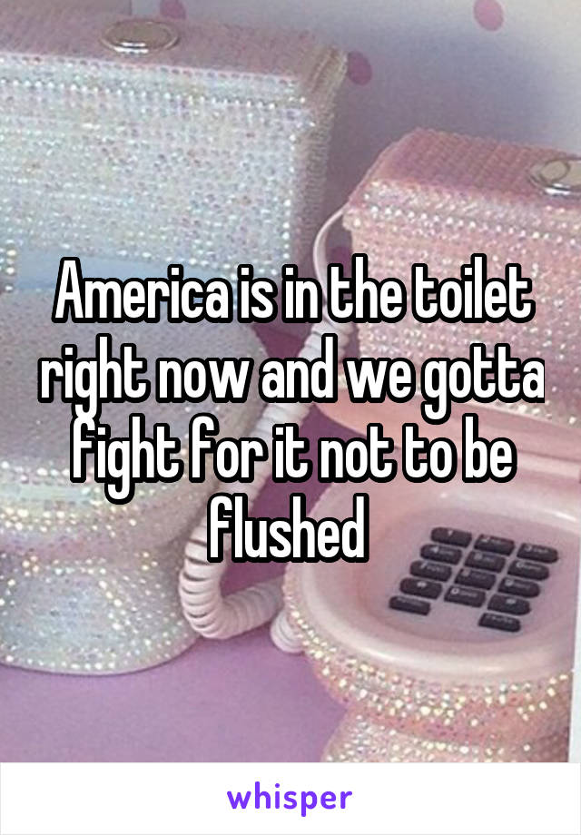 America is in the toilet right now and we gotta fight for it not to be flushed 