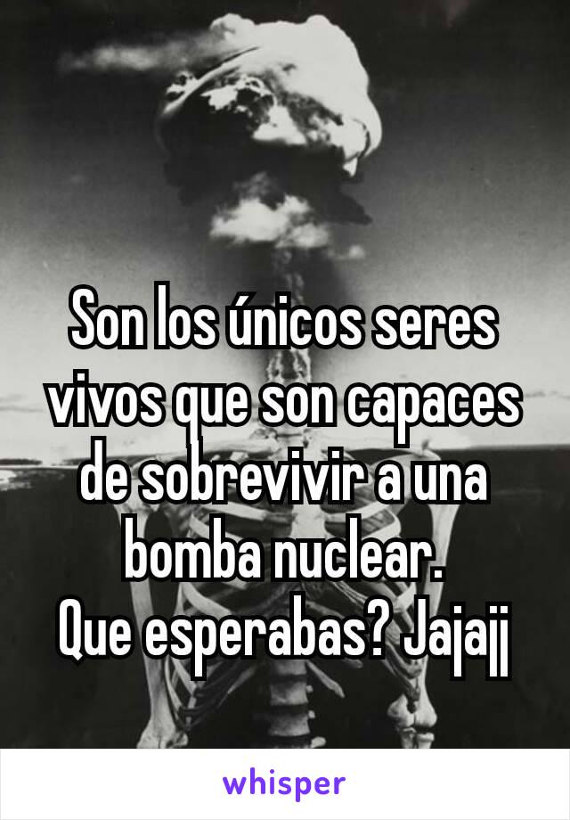 Son los únicos seres vivos que son capaces de sobrevivir a una bomba nuclear.
Que esperabas? Jajajj