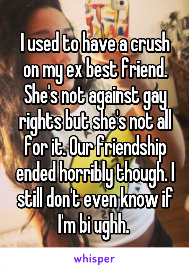 I used to have a crush on my ex best friend. She's not against gay rights but she's not all for it. Our friendship ended horribly though. I still don't even know if I'm bi ughh. 