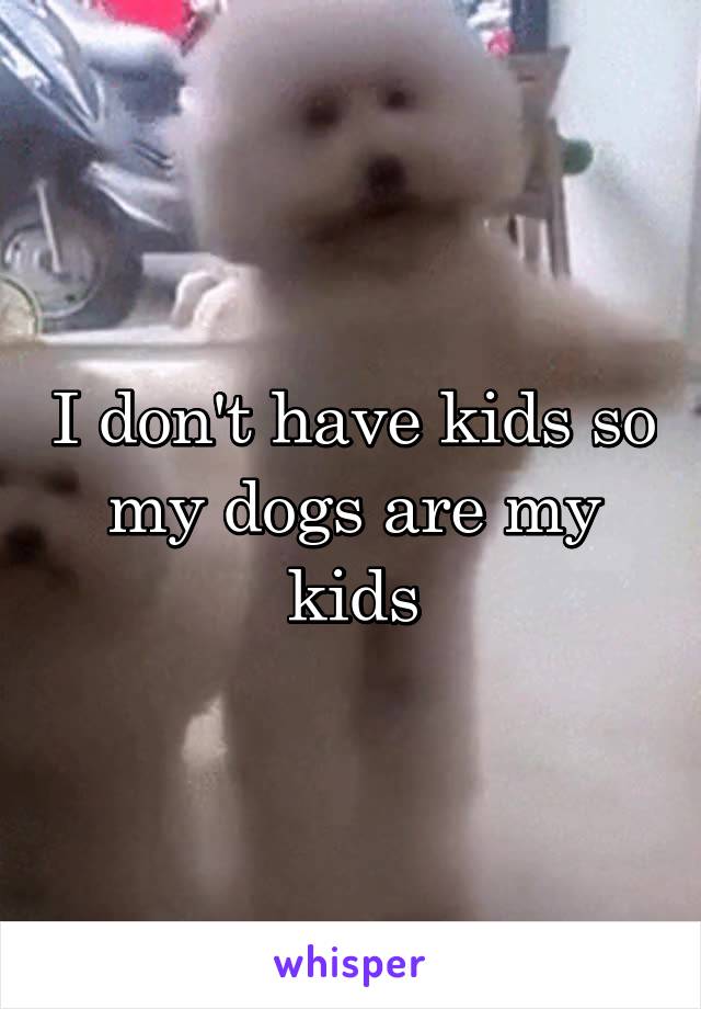 I don't have kids so my dogs are my kids