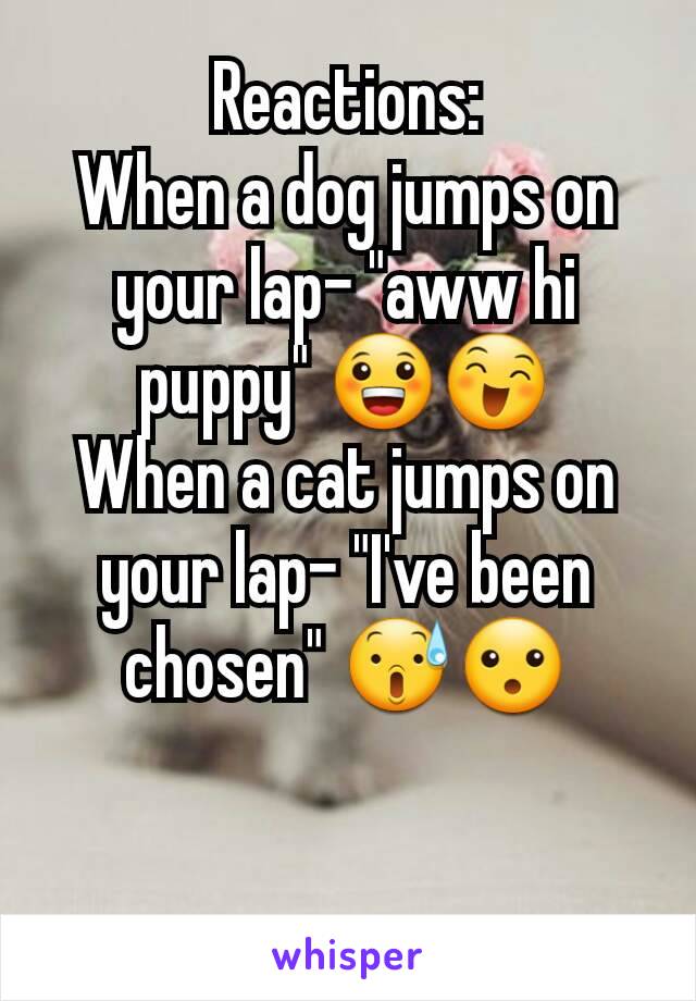 Reactions:
When a dog jumps on your lap- "aww hi puppy" 😀😄
When a cat jumps on your lap- "I've been chosen" 😰😮