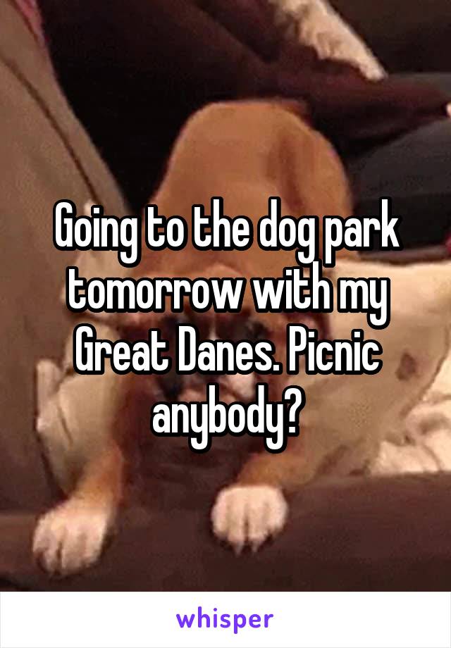 Going to the dog park tomorrow with my Great Danes. Picnic anybody?