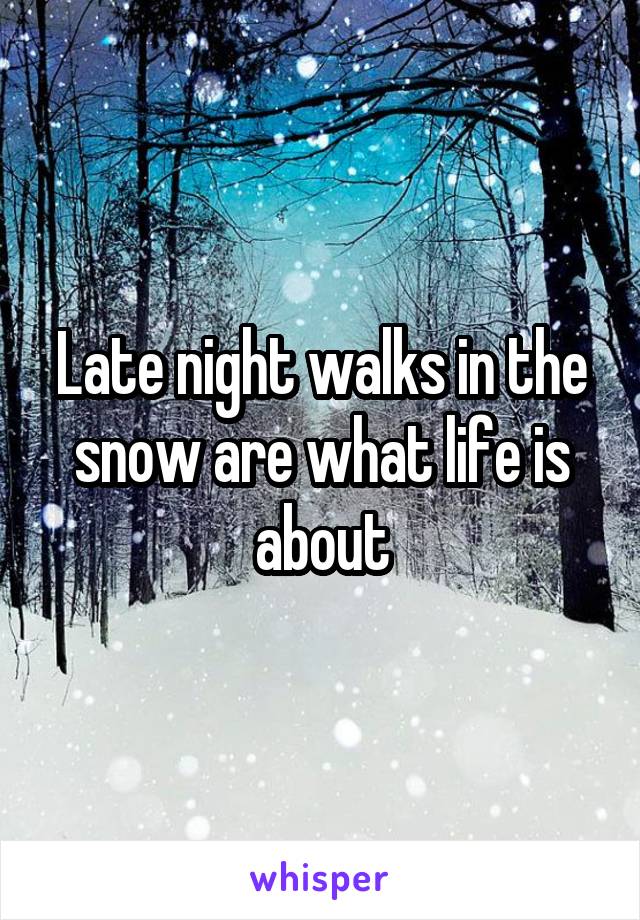 Late night walks in the snow are what life is about