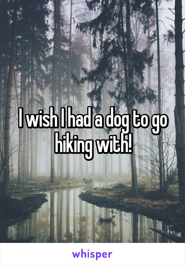 I wish I had a dog to go hiking with!