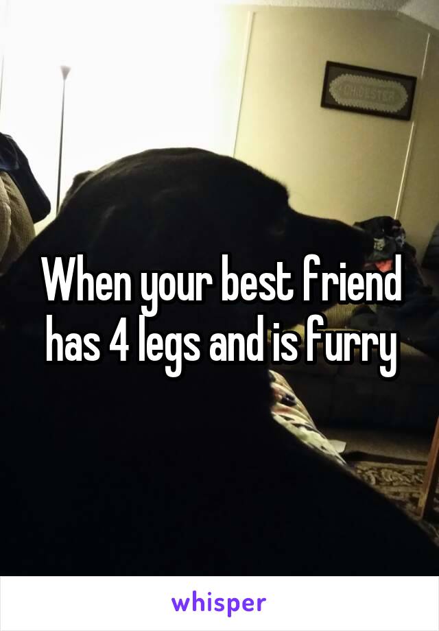 When your best friend has 4 legs and is furry