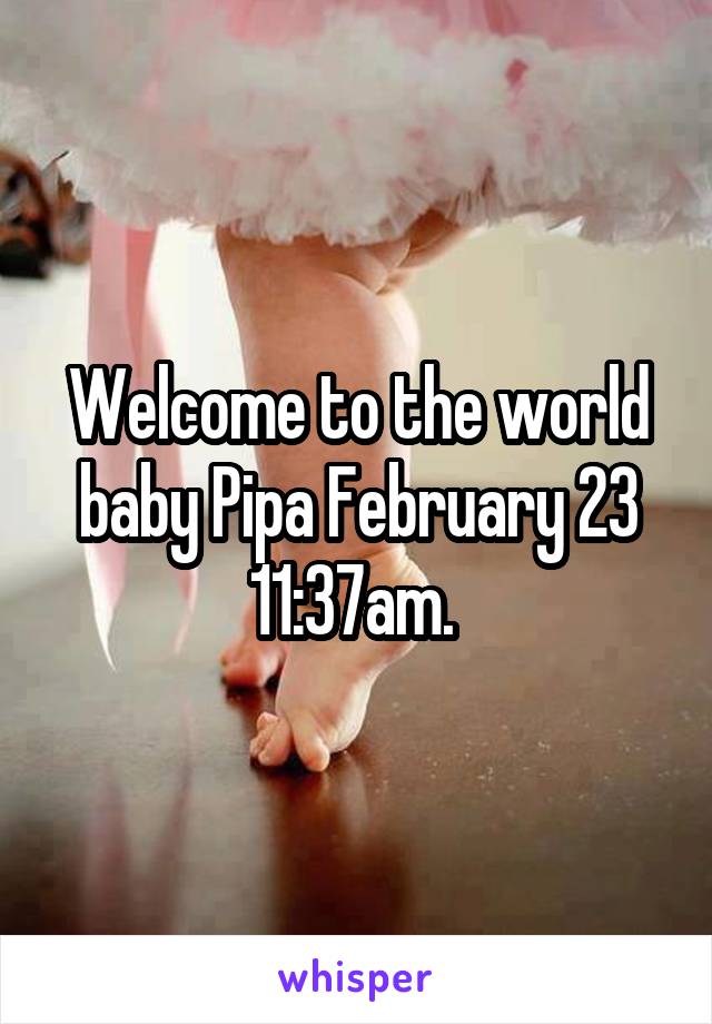 Welcome to the world baby Pipa February 23 11:37am. 