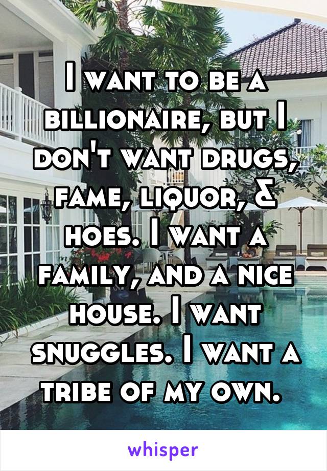 I want to be a billionaire, but I don't want drugs, fame, liquor, & hoes. I want a family, and a nice house. I want snuggles. I want a tribe of my own. 