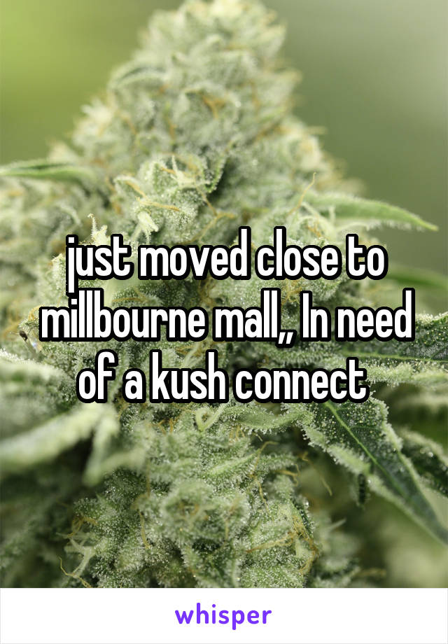 just moved close to millbourne mall,, In need of a kush connect 