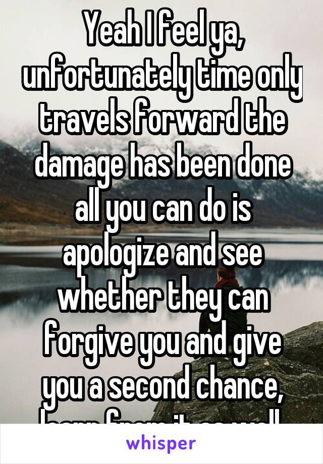 Yeah I feel ya, unfortunately time only travels forward the damage has been done all you can do is apologize and see whether they can forgive you and give you a second chance, learn from it as well 