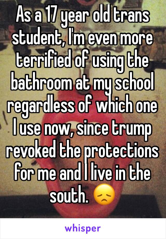 As a 17 year old trans student, I'm even more terrified of using the bathroom at my school regardless of which one I use now, since trump revoked the protections for me and I live in the south. 😞
