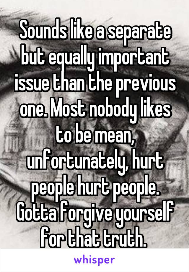 Sounds like a separate but equally important issue than the previous one. Most nobody likes to be mean, unfortunately, hurt people hurt people. Gotta forgive yourself for that truth. 