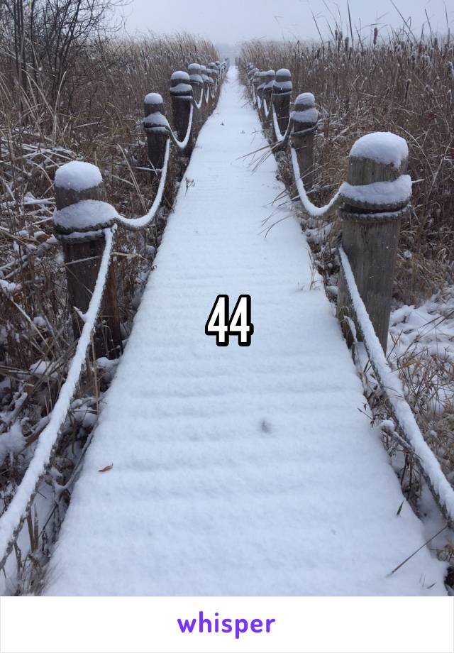 44