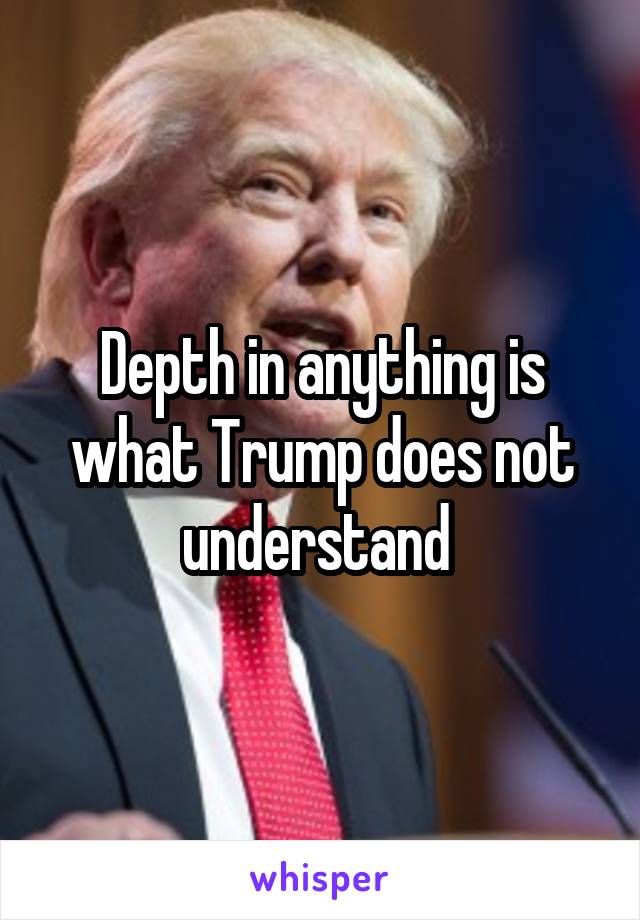 Depth in anything is what Trump does not understand 