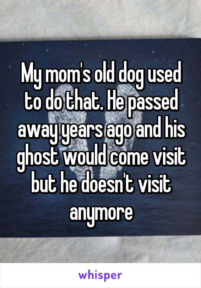 My mom's old dog used to do that. He passed away years ago and his ghost would come visit but he doesn't visit anymore