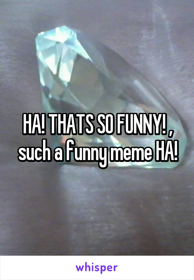 HA! THATS SO FUNNY! , such a funny meme HA!