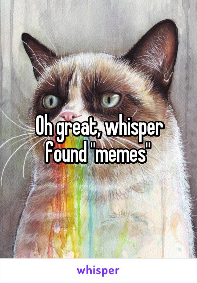 Oh great, whisper found "memes" 