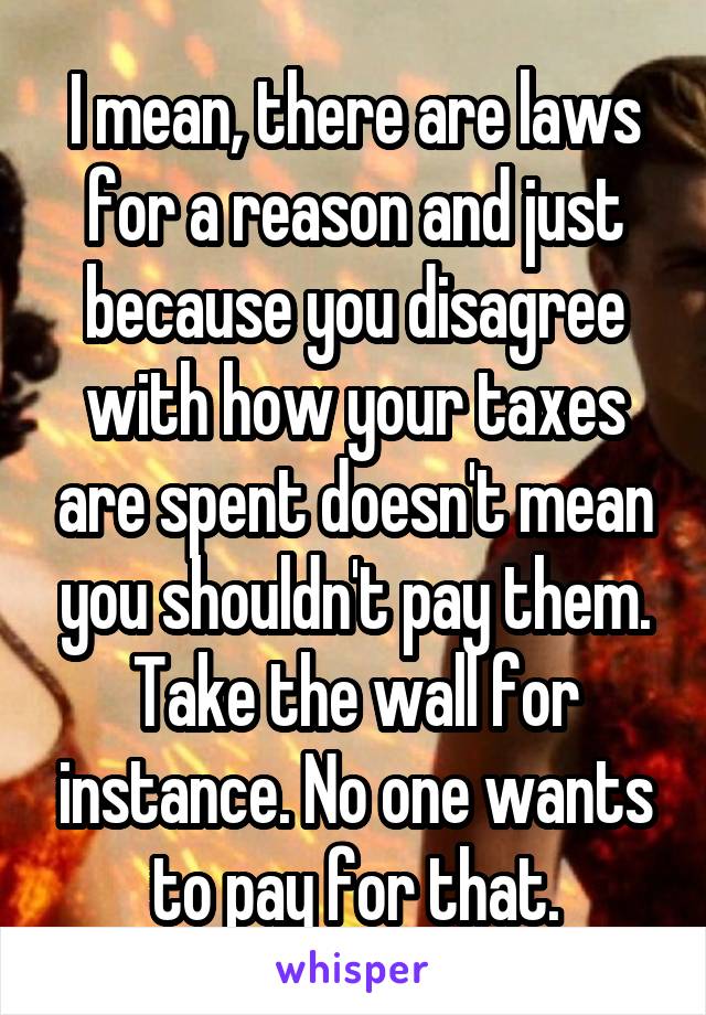 I mean, there are laws for a reason and just because you disagree with how your taxes are spent doesn't mean you shouldn't pay them. Take the wall for instance. No one wants to pay for that.