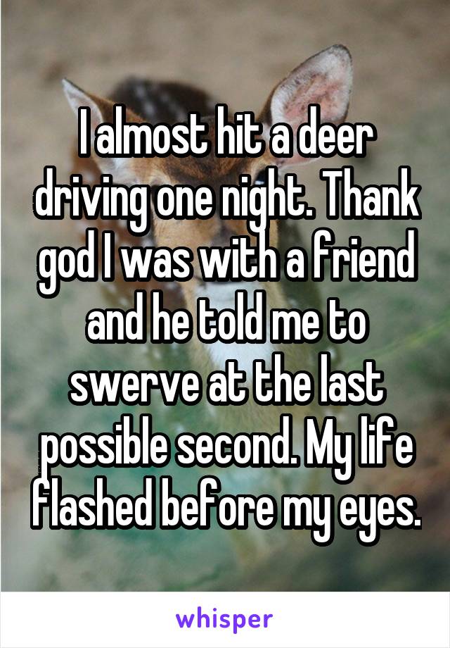 I almost hit a deer driving one night. Thank god I was with a friend and he told me to swerve at the last possible second. My life flashed before my eyes.