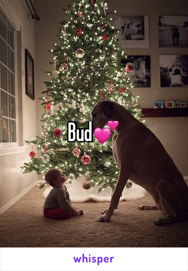 Bud💕