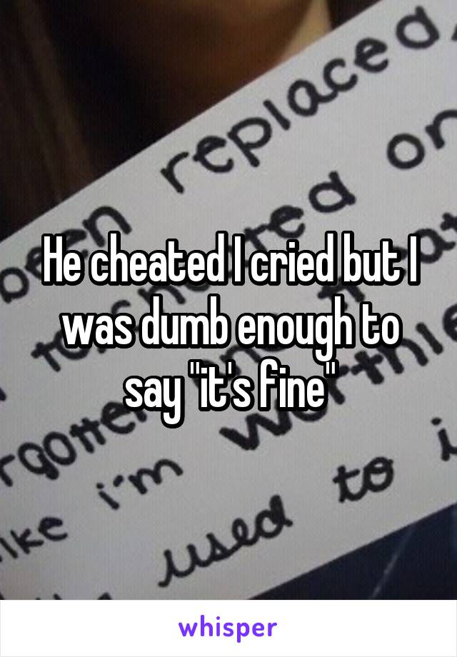 He cheated I cried but I was dumb enough to say "it's fine"