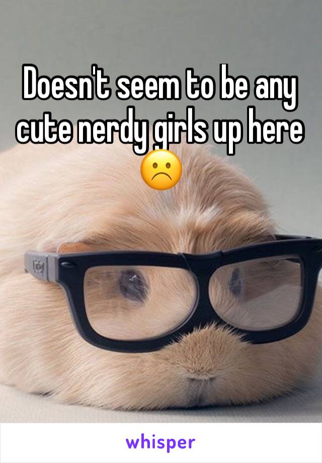 Doesn't seem to be any cute nerdy girls up here ☹️