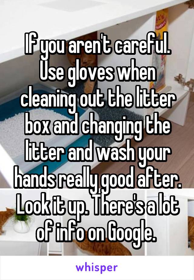 If you aren't careful. Use gloves when cleaning out the litter box and changing the litter and wash your hands really good after. Look it up. There's a lot of info on Google. 