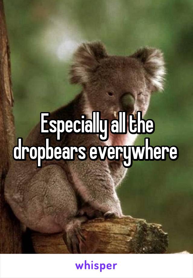 Especially all the dropbears everywhere 