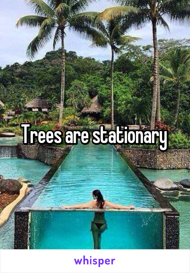 Trees are stationary 