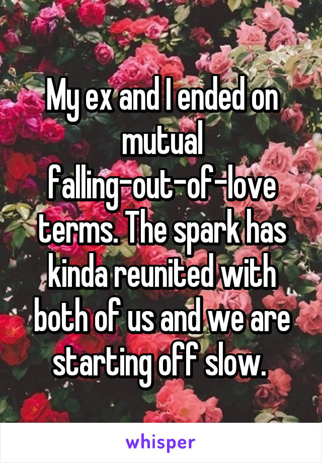 My ex and I ended on mutual falling-out-of-love terms. The spark has kinda reunited with both of us and we are starting off slow. 
