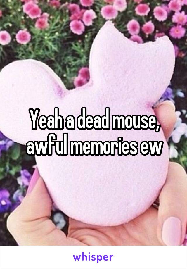 Yeah a dead mouse, awful memories ew