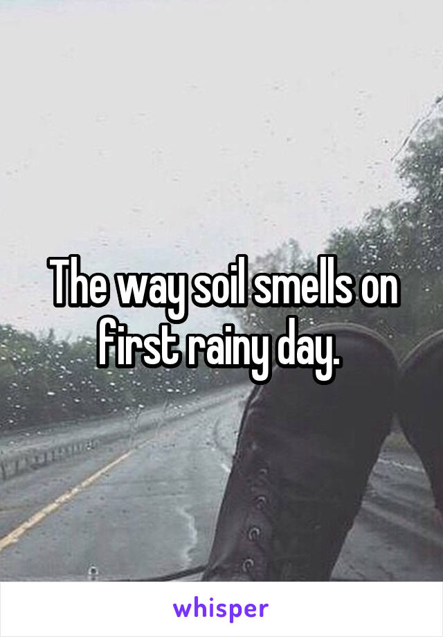 The way soil smells on first rainy day. 