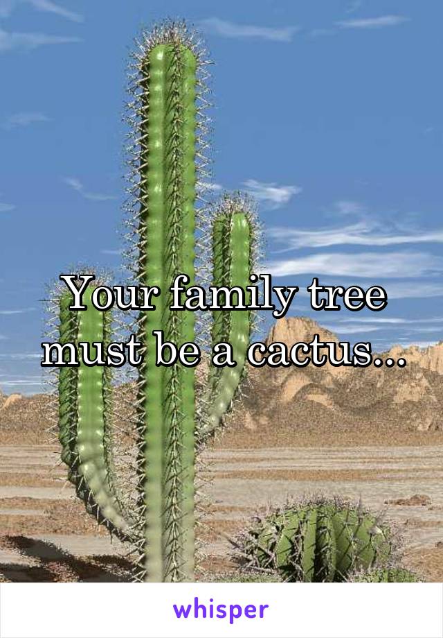Your family tree must be a cactus...