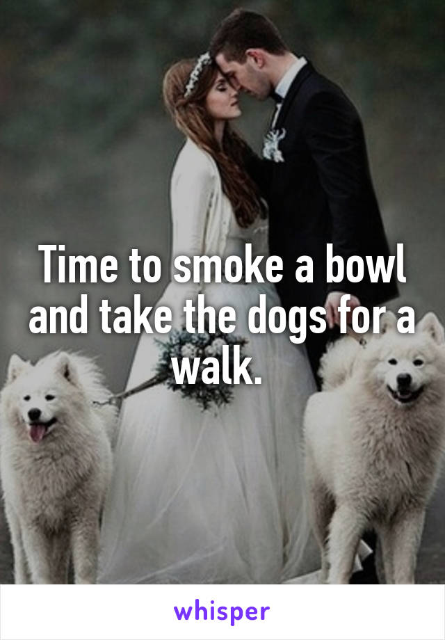 Time to smoke a bowl and take the dogs for a walk. 