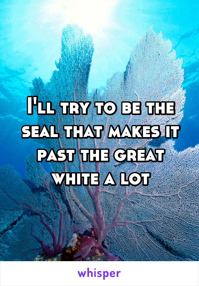 I'll try to be the seal that makes it past the great white a lot