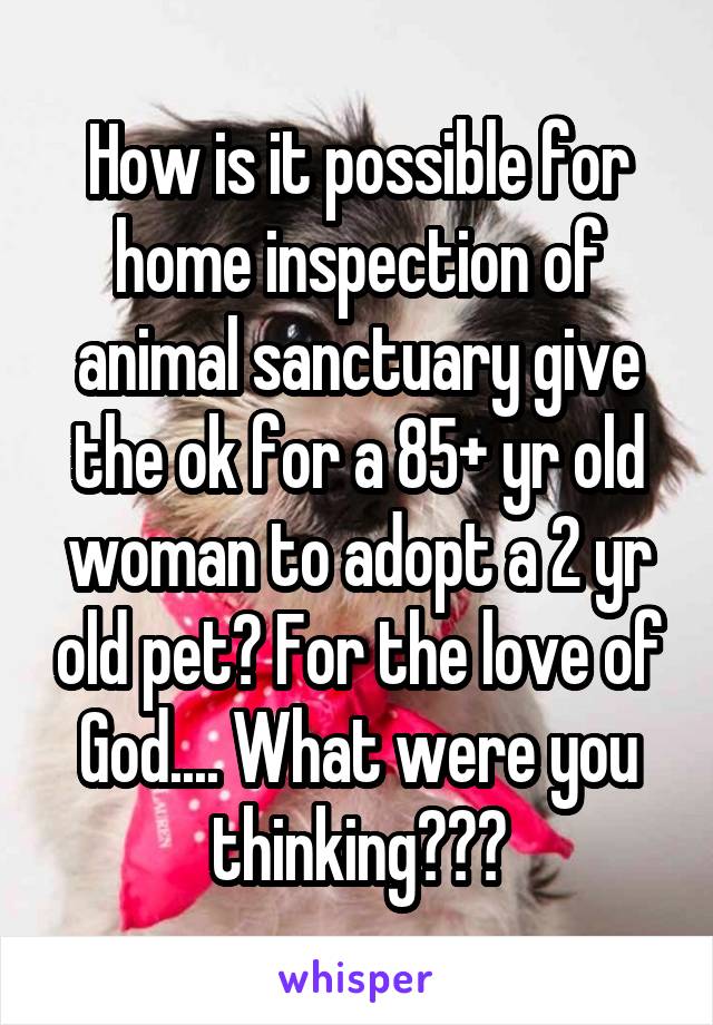 How is it possible for home inspection of animal sanctuary give the ok for a 85+ yr old woman to adopt a 2 yr old pet? For the love of God.... What were you thinking???