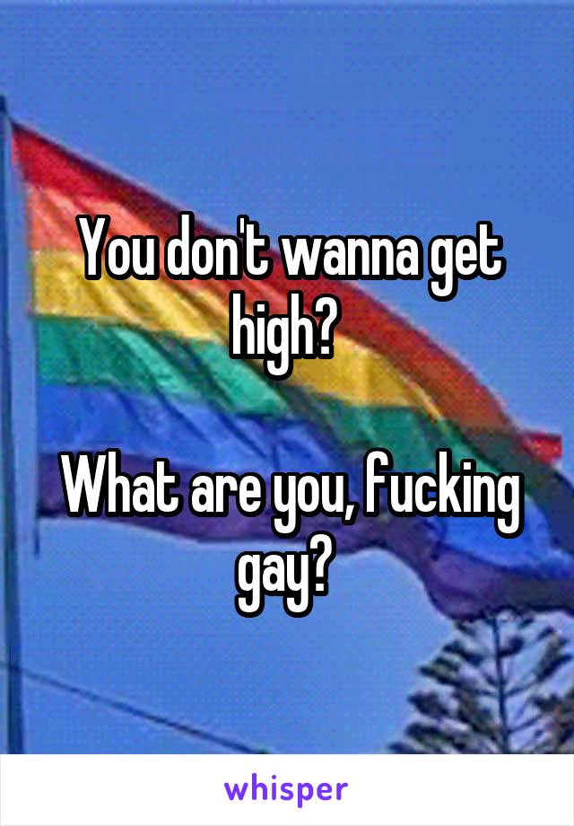 You don't wanna get high? 

What are you, fucking gay? 