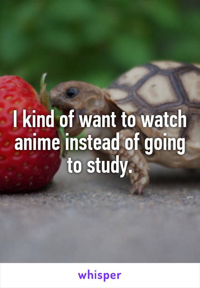 I kind of want to watch anime instead of going to study.