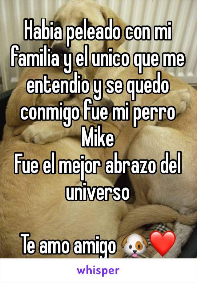 Habia peleado con mi familia y el unico que me entendio y se quedo conmigo fue mi perro Mike
Fue el mejor abrazo del universo

Te amo amigo 🐶❤