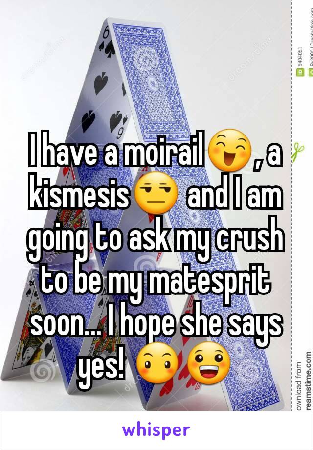 I have a moirail😄, a kismesis😒 and I am going to ask my crush to be my matesprit soon... I hope she says yes! 😶😀