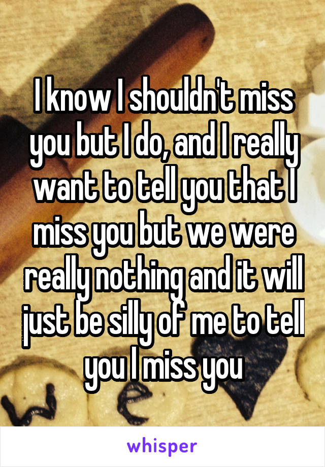 I know I shouldn't miss you but I do, and I really want to tell you that I miss you but we were really nothing and it will just be silly of me to tell you I miss you
