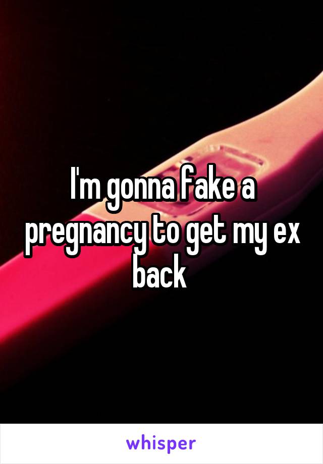 I'm gonna fake a pregnancy to get my ex back 