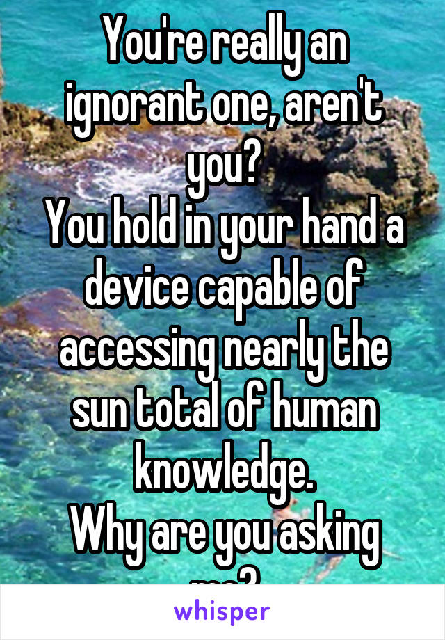 You're really an ignorant one, aren't you?
You hold in your hand a device capable of accessing nearly the sun total of human knowledge.
Why are you asking me?